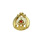 Past Potentate Lapel Pin