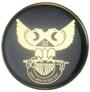 Scottish Rite Wings UP auto emblem 2" Polymer