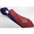 Texas Masonic Tie